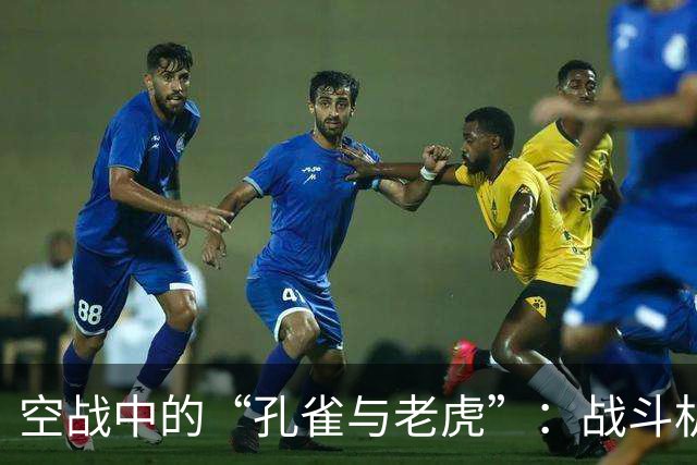 空战中的“孔雀与老虎”：战斗机的较量与飞行员的吐槽