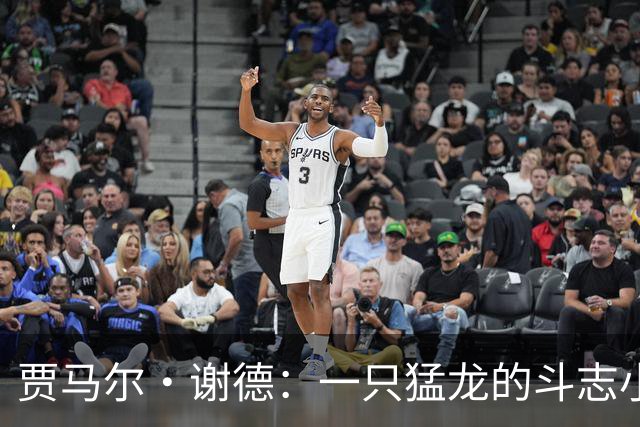 贾马尔·谢德：一只猛龙的斗志小巨人，闪电般的三分希望！
